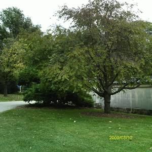 Meet your Posher, Ruby-lyn